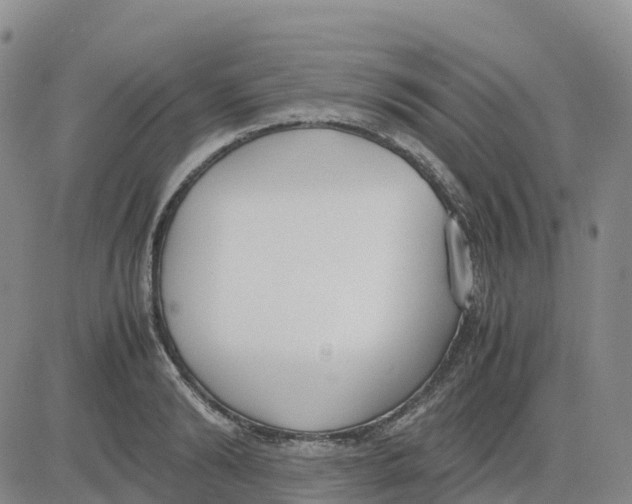 X0000083010894200702231809