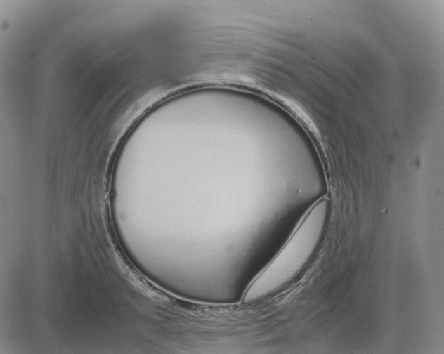 X0000083010895200702231809