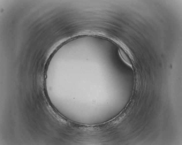 X0000083010896200702231809