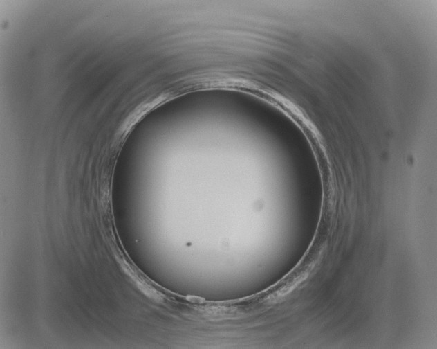 X0000083010897200702231809