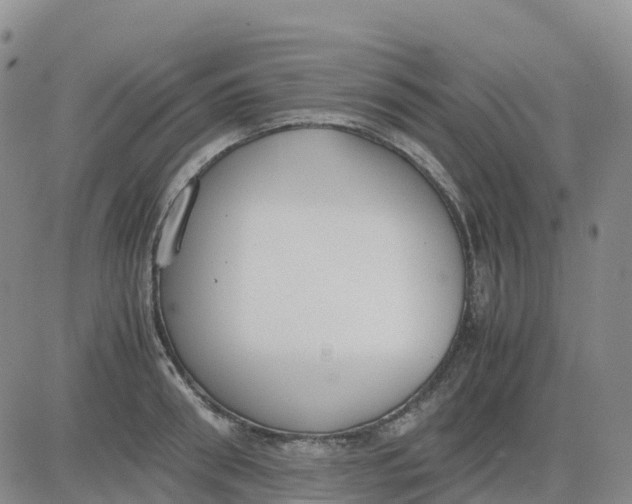 X0000083010898200702231809