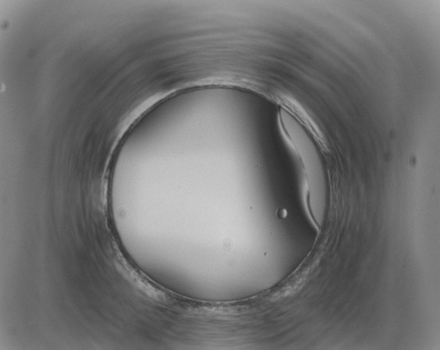 X0000083010900200702231809