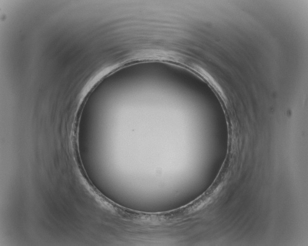 X0000083010901200702231809