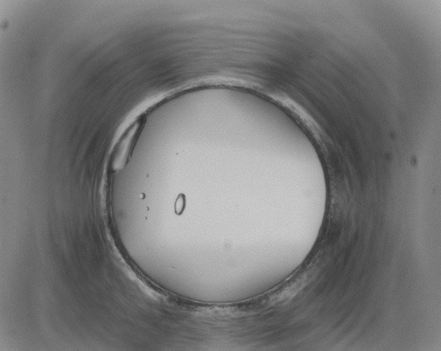 X0000083010902200702231809