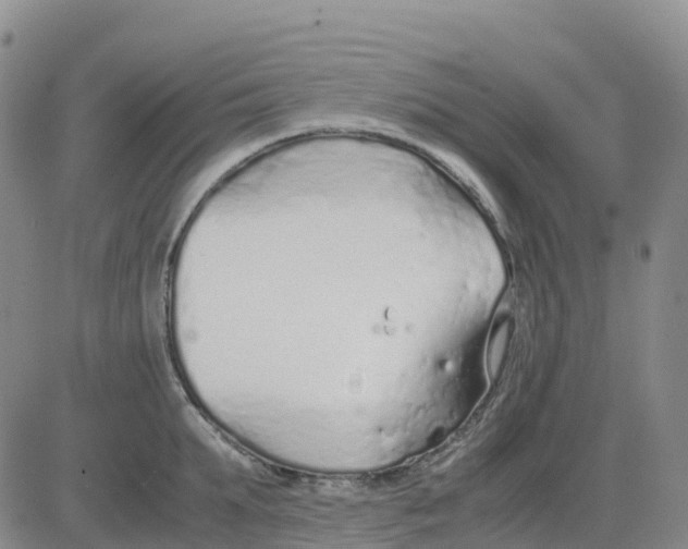 X0000083010903200702231809