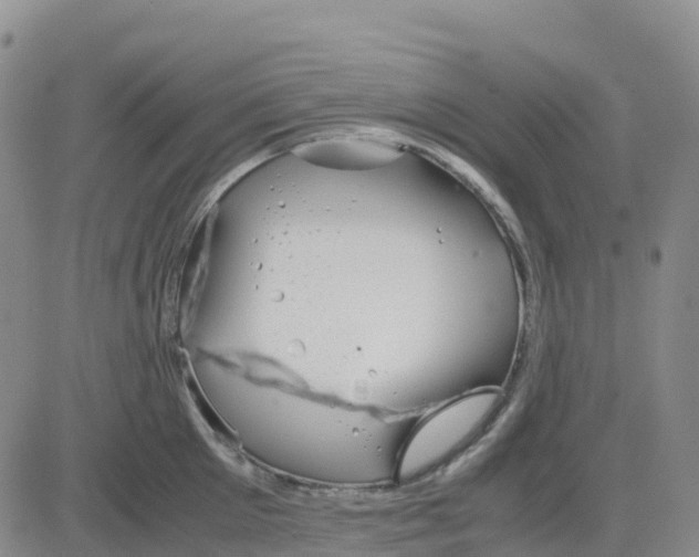 X0000083010905200702231809