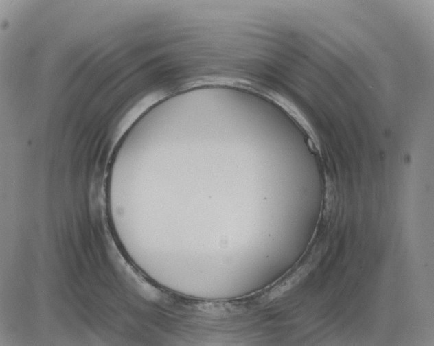 X0000083010906200702231809