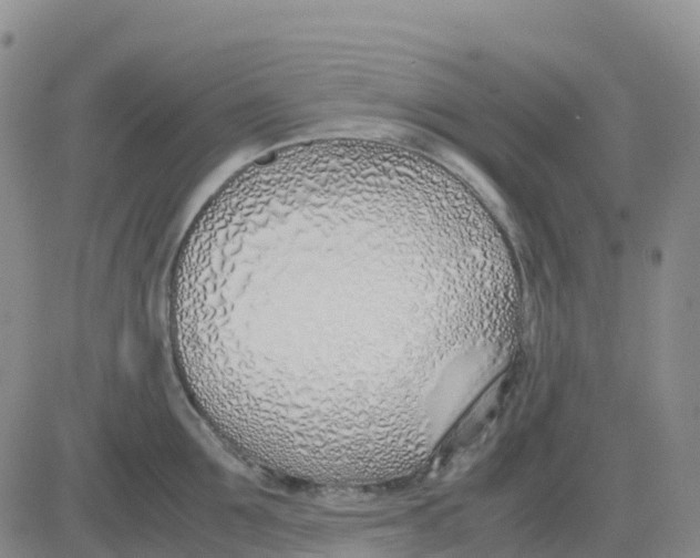 X0000083010907200702231809