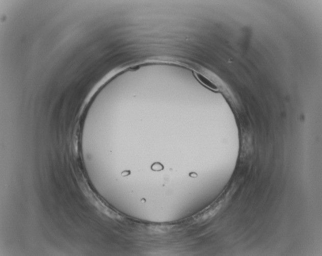 X0000083010908200702231809