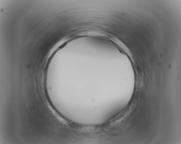 X0000083010909200702231809