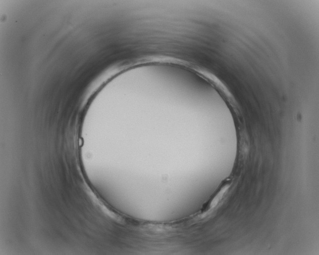 X0000083010910200702231809