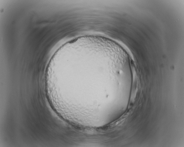 X0000083010911200702231809