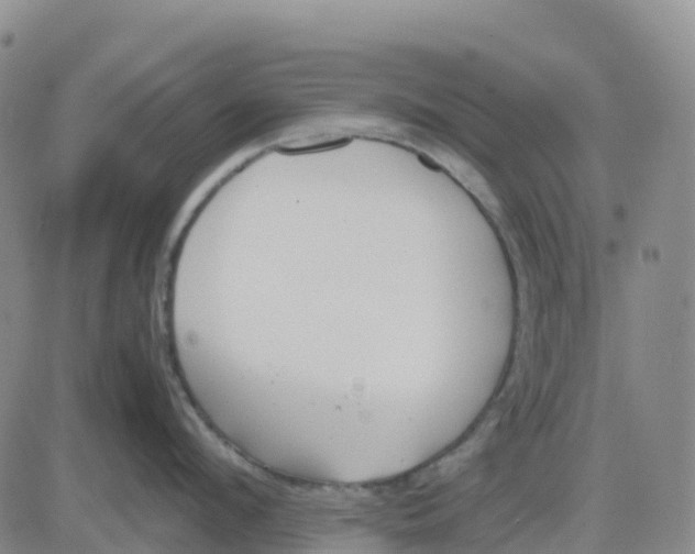 X0000083010912200702231809