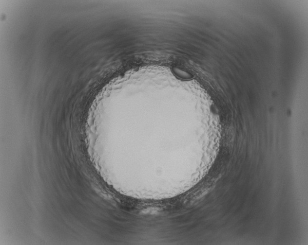 X0000083010913200702231808