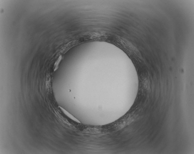 X0000083010914200702231808