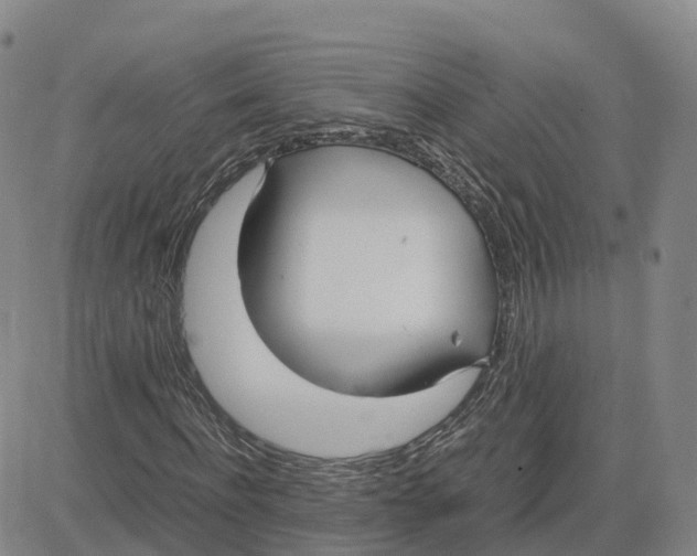 X0000083010916200702231808