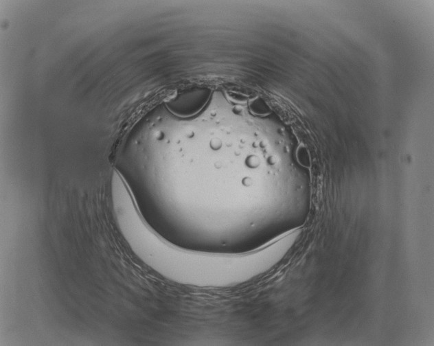 X0000083010917200702231808