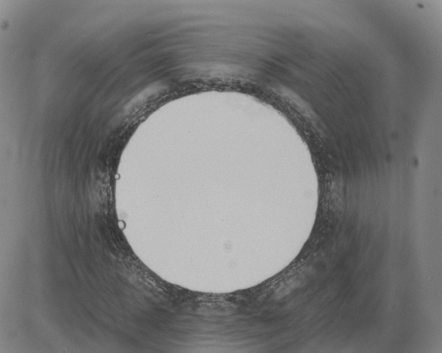 X0000083010918200702231808