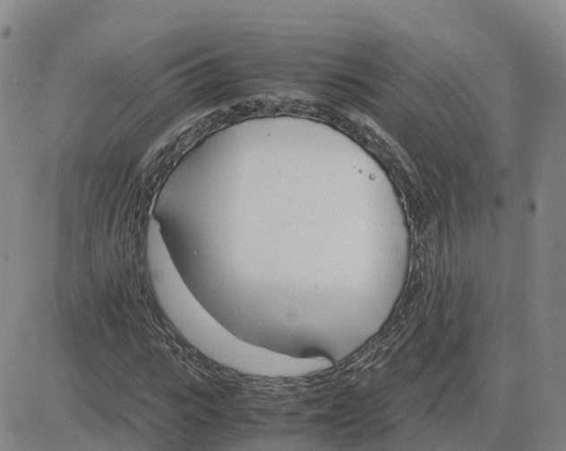 X0000083010919200702231808