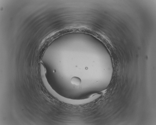 X0000083010920200702231808