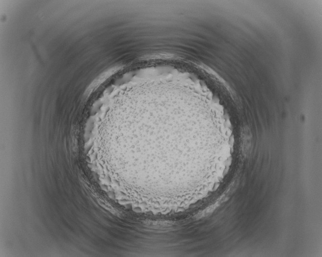 X0000083010921200702231808