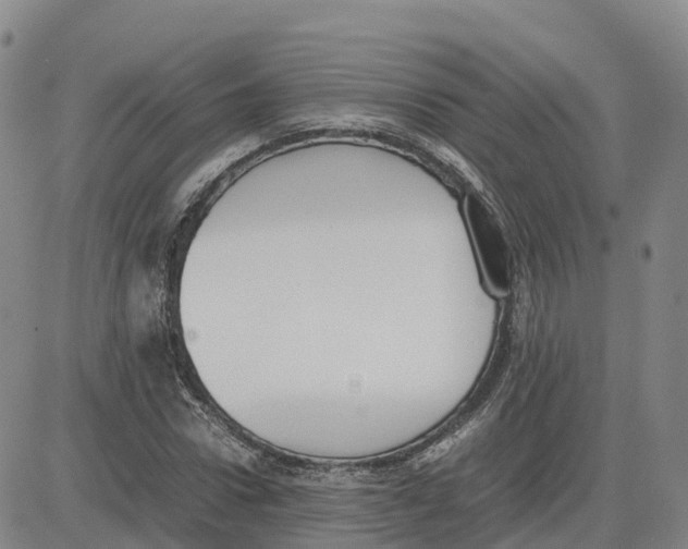 X0000083010922200702231808