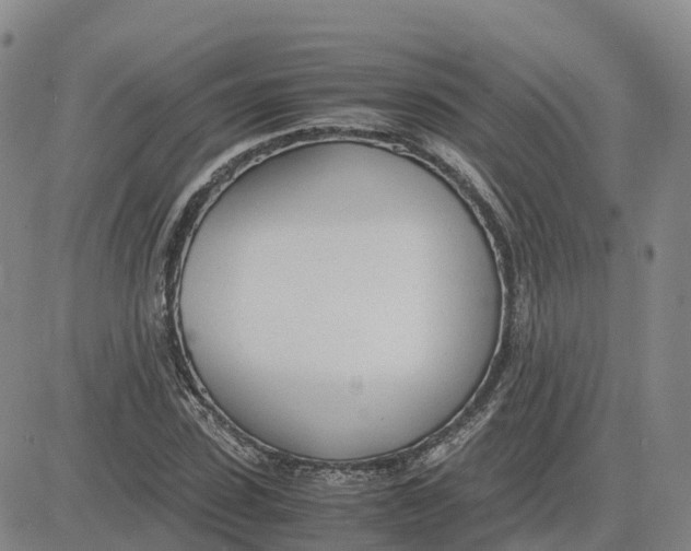 X0000083010923200702231808