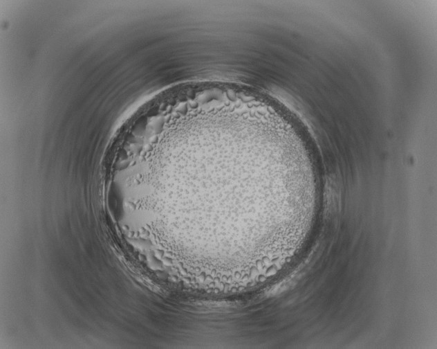 X0000083010925200702231808