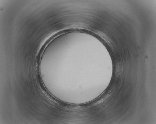 X0000083010926200702231808