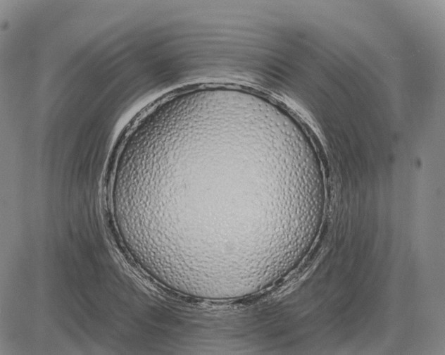 X0000083010928200702231808