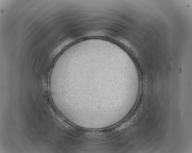 X0000083010929200702231808