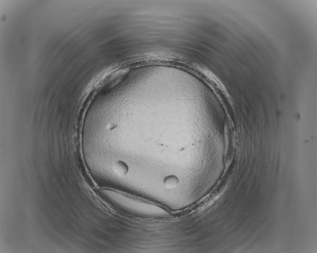 X0000083010930200702231808