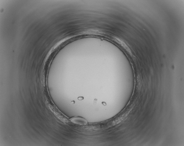 X0000083010931200702231808