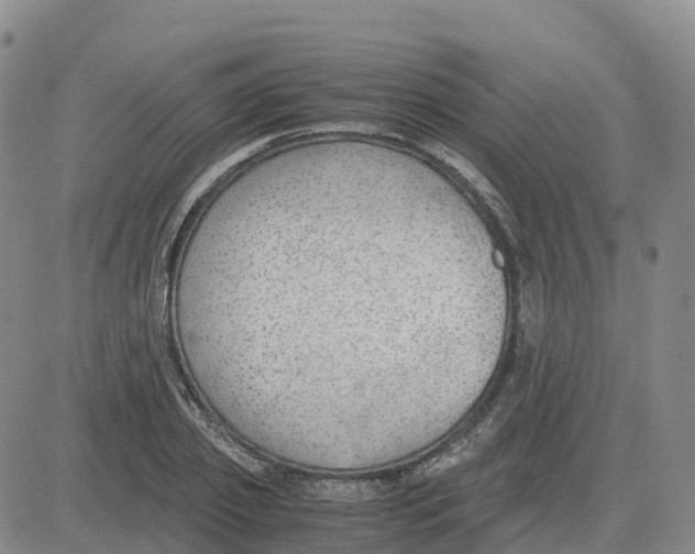 X0000083010933200702231808