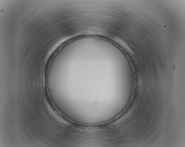 X0000083010934200702231808