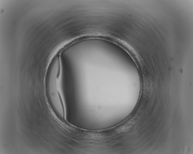 X0000083010935200702231808