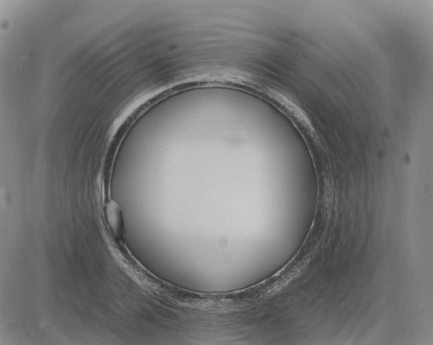 X0000083010936200702231809