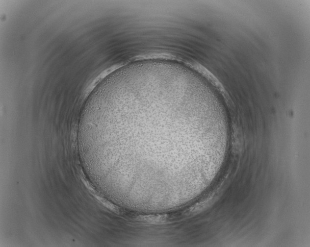 X0000083010937200702231809