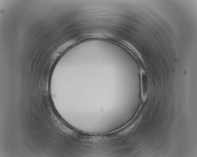 X0000083010938200702231809