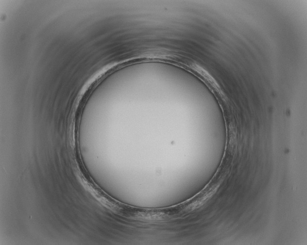 X0000083010939200702231809