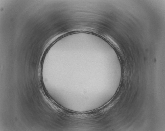 X0000083010940200702231809