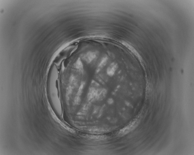 X0000083010941200702231809