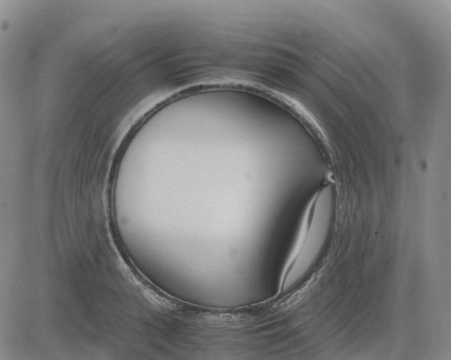 X0000083010943200702231809