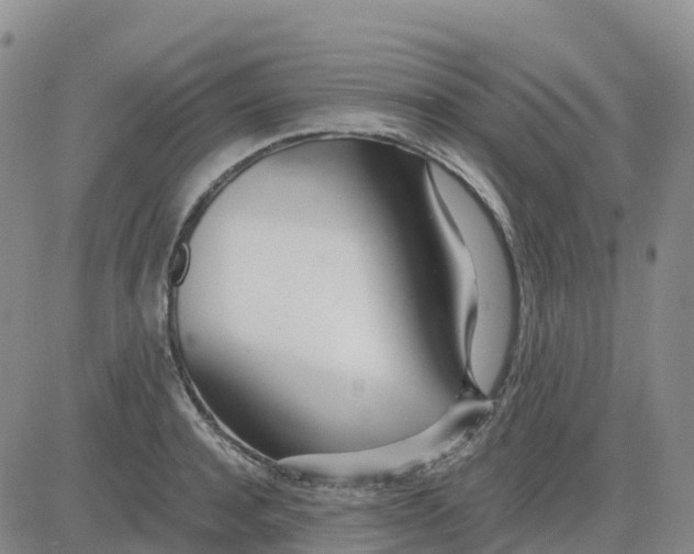 X0000083010944200702231809