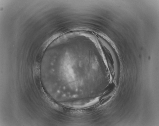 X0000083010945200702231809