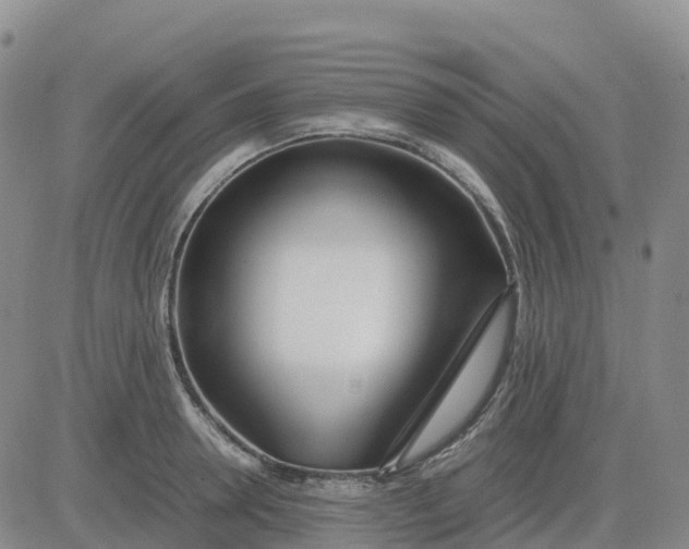 X0000083010946200702231809