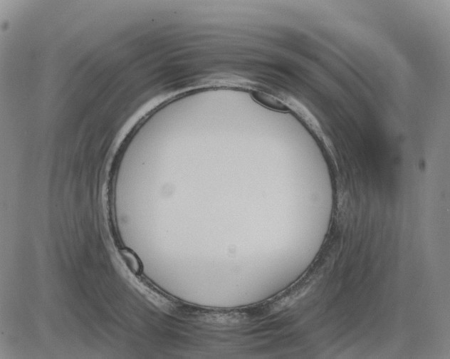 X0000083010947200702231809