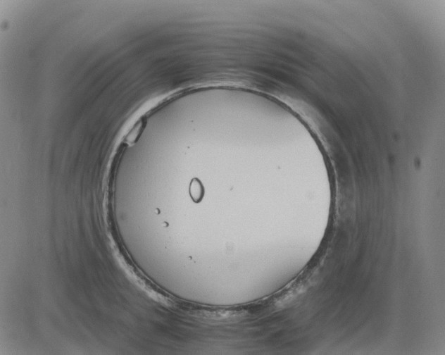 X0000083010949200702231809