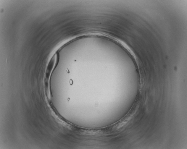 X0000083010951200702231809