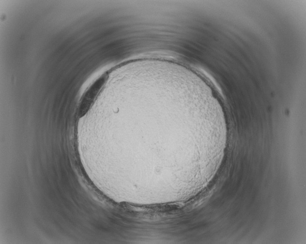 X0000083010952200702231809